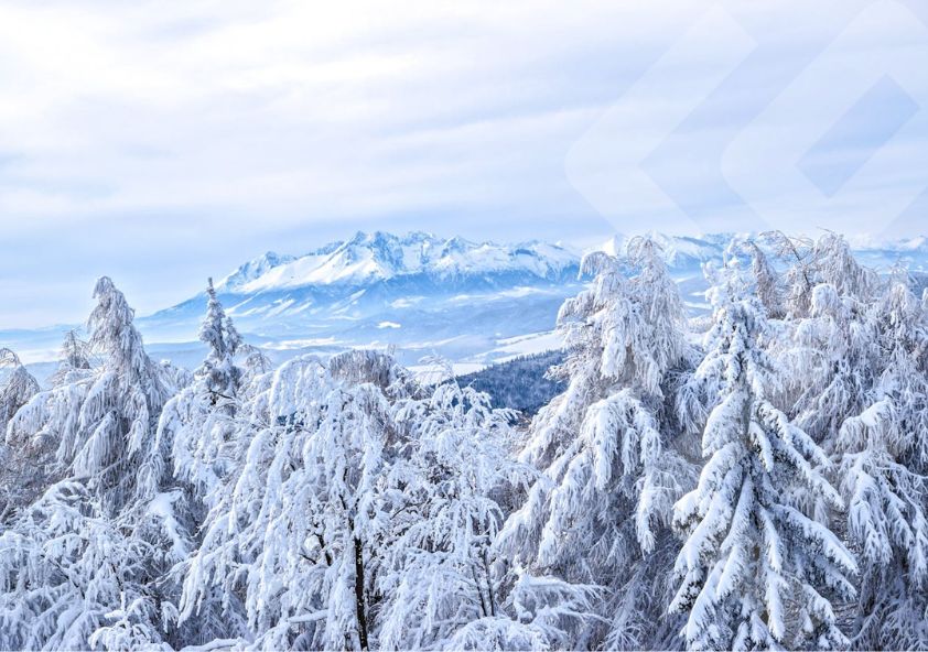 Rekordný počet právnych aktov schválených Radou fondu 11.12.2025 a výsledky zasadnutia  Rady fondu per rollam 16.12.2025