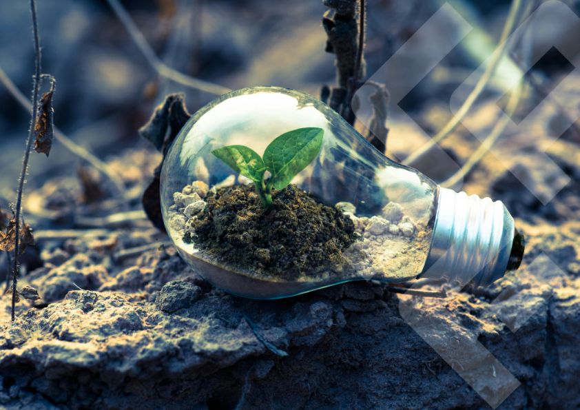 Medzinárodný deň pôdy: Ochráňme našu pôdu pre budúcnosť